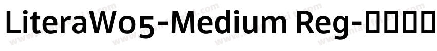 LiteraW05-Medium Reg字体转换